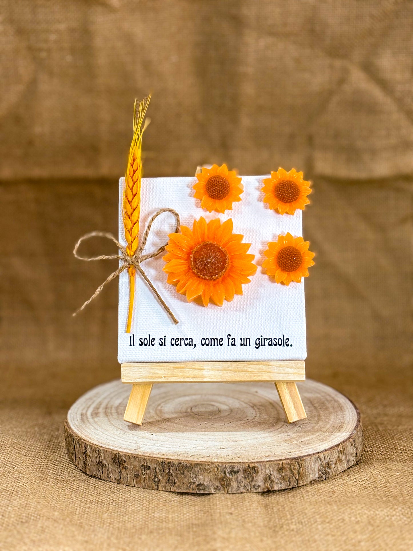 Quadretto “Alla ricerca del sole”