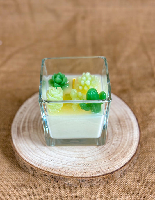 Terrarium – La natura in un bicchiere