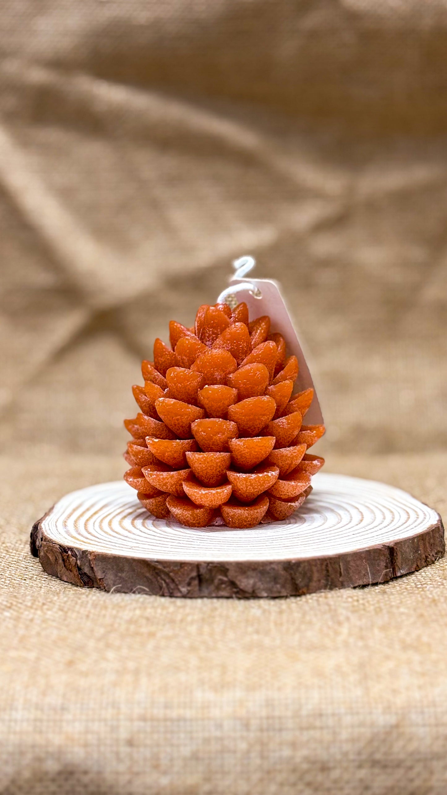 Pigna d’Inverno – Candela artigianale in cera naturale