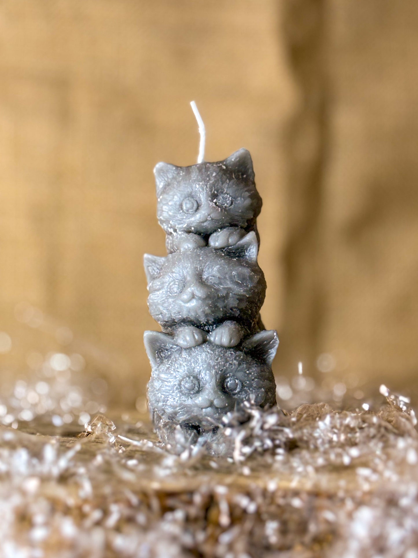 Candela Gattini Monelli – Un Trio di Dolcezza