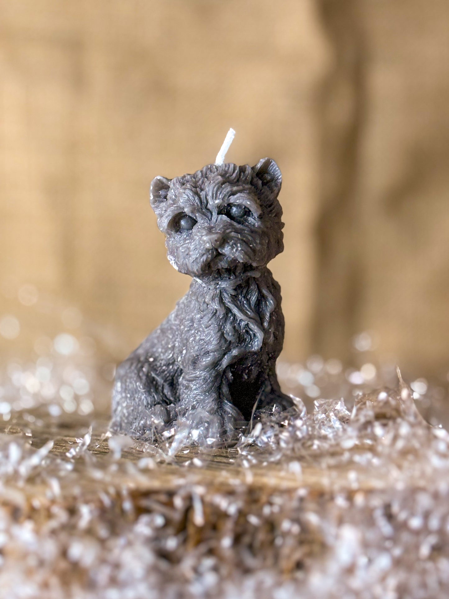 Candela Cagnolino Fedeltà – Un Amico di Luce